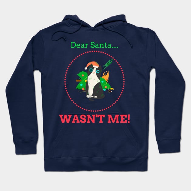 Dear Santa, Wasn’t Me Hoodie by Athenis